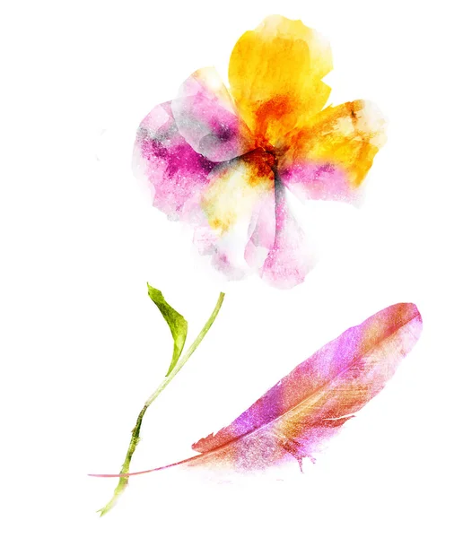 Watercolor flower and feather, isolated on white — 스톡 사진