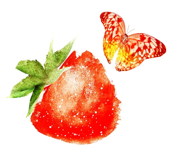 Watercolor strawberry with butterfly on white — Stock Photo, Image