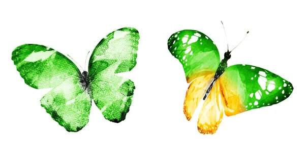 Δύο πεταλούδες με ακουαρέλες, απομονωμένες σε λευκό φόντο. Μπρι. — Φωτογραφία Αρχείου