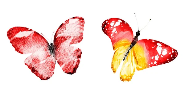 Duas borboletas aquarela, isoladas sobre fundo branco. Brigh... — Fotografia de Stock