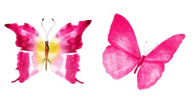 Beyaz arka planda izole edilmiş iki suluboya kelebek.