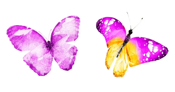 Two watercolor butterflies , isolated on white background. Brigh — Stock Photo, Image