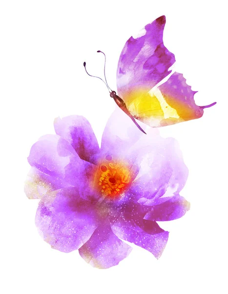 Akvarell blomma med fjäril, isolerad på vit bakgrund — Stockfoto