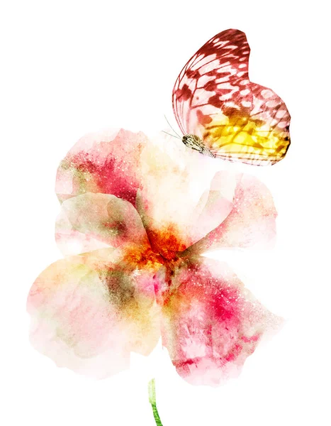 나비와 함께 있는 수상 색깔의 꽃, 흰 배경에 따로 떨어져 있는 꽃 — 스톡 사진