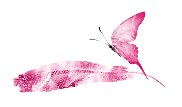 Akvarelové peří s motýlem, izolované na bílém pozadí — Stock fotografie