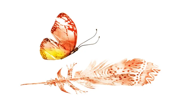 Akvarellfjädrar med fjäril, isolerad på vit bakgrund — Stockfoto