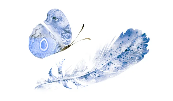 Φτερά ακουαρέλας με πεταλούδα, απομονωμένα σε λευκό φόντο — Φωτογραφία Αρχείου