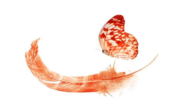 Penas de aquarela com borboleta, isoladas sobre fundo branco — Fotografia de Stock