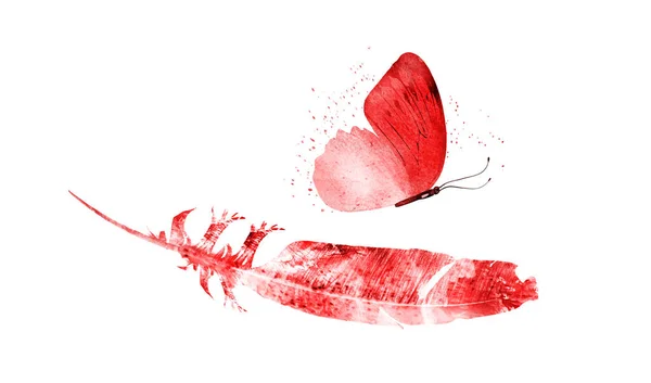 Акварельные перья с бабочкой, изолированные на белом фоне — стоковое фото