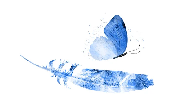 나비가 있는 물색 깃털, 흰 바탕에 따로 떨어져 있다 — 스톡 사진