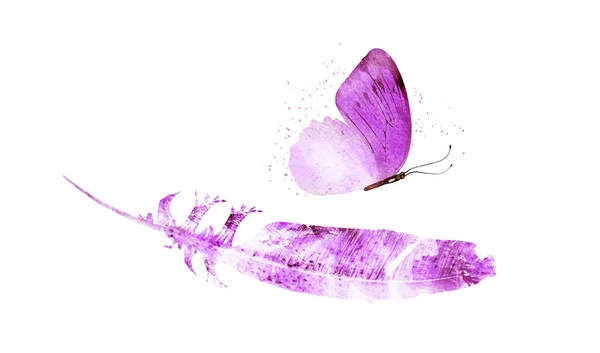 Penas de aquarela com borboleta, isoladas sobre fundo branco — Fotografia de Stock