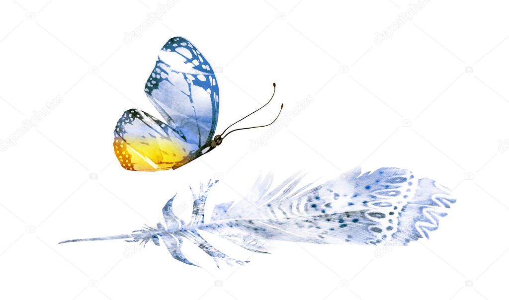 Watercolor feathers with butterfly, isolated on white background