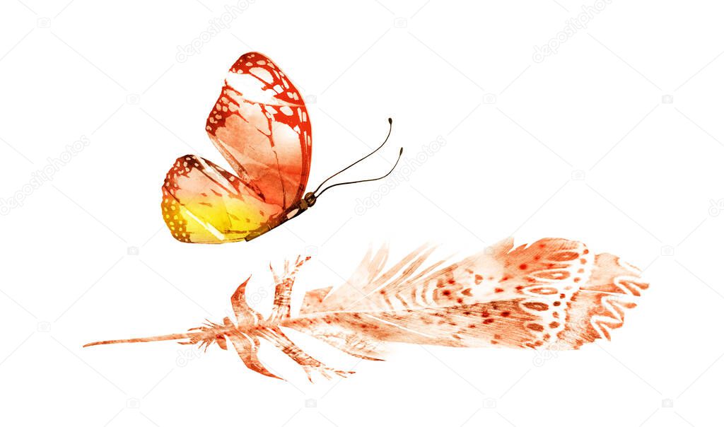 Watercolor feathers with butterfly, isolated on white background