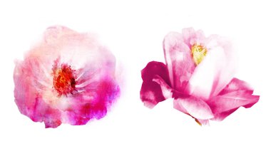 Beyaz arkaplanda suluboya doğal set