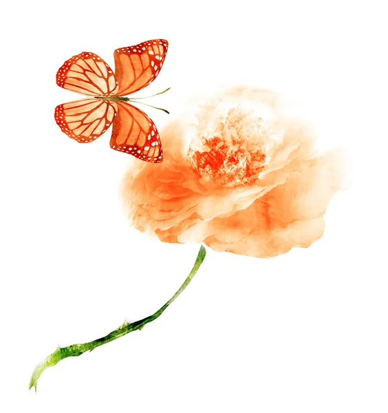 Watercolor flower with butterfly , isolated on white background — Stock Photo, Image