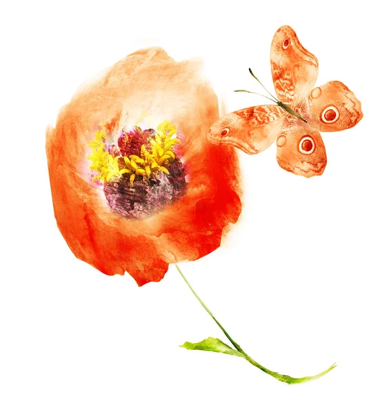 Watercolor flower with butterfly , isolated on white background — 스톡 사진