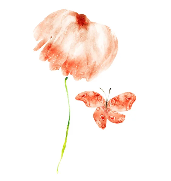 Watercolor flower with butterfly , isolated on white background — 스톡 사진