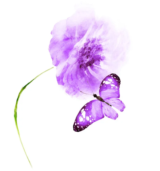 Watercolor flower with butterfly , isolated on white background — 스톡 사진