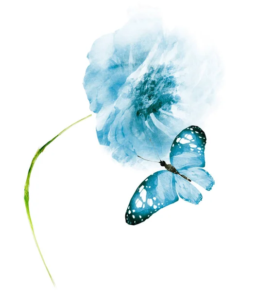 Υδατογραφία λουλούδι με πεταλούδα, απομονώνονται σε λευκό φόντο — Φωτογραφία Αρχείου
