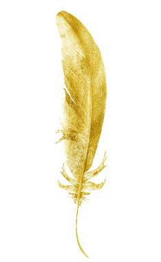 Suluboya tüyleri, beyaz arkaplanda izole