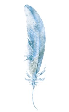 Suluboya tüyleri, beyaz arkaplanda izole