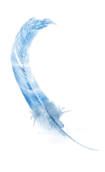 Φτερά ακουαρέλας, απομονωμένα σε λευκό φόντο — Φωτογραφία Αρχείου