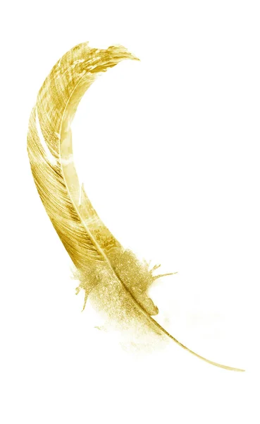 Pióra akwarelowe, izolowane na białym tle — Zdjęcie stockowe