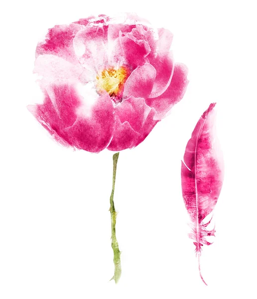 Akvarel květiny a peří, izolované na bílém — Stock fotografie
