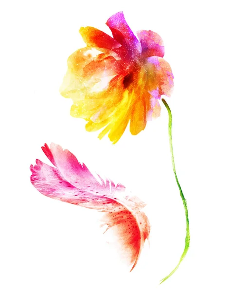 Watercolor flower and feather, isolated on white — 스톡 사진