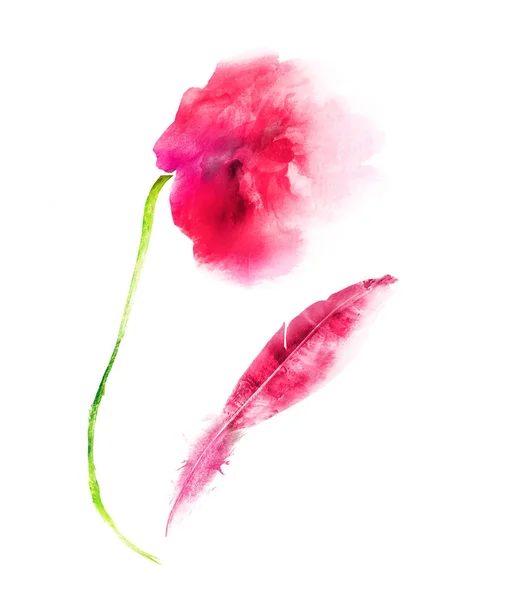 Flor aquarela e pena, isolado em branco — Fotografia de Stock