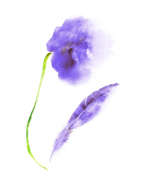 Acuarela flor y pluma, aislada en blanco —  Fotos de Stock