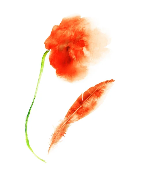 Watercolor flower and feather, isolated on white — 스톡 사진