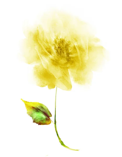 Watercolor flower , isolated on white background — Stock Photo, Image