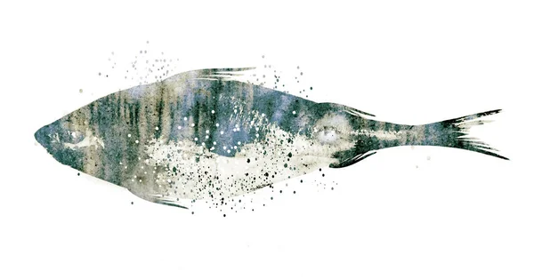 Pesce acquerello su sfondo bianco — Foto Stock