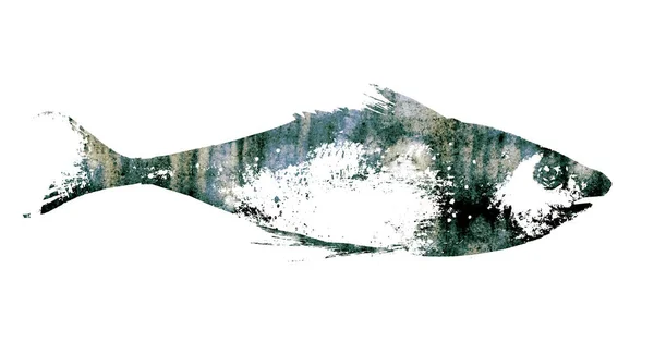 Peixe aquarela no fundo branco — Fotografia de Stock