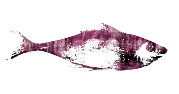 Poisson aquarelle sur fond blanc — Photo