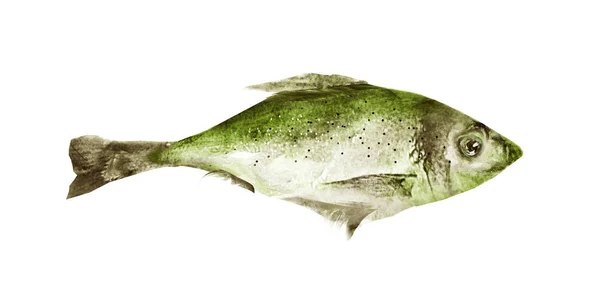 Akvarell fisk på vit bakgrund — Stockfoto