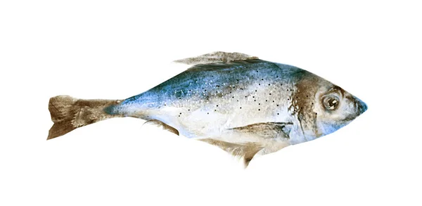 Aquarell Fisch auf weißem Hintergrund — Stockfoto