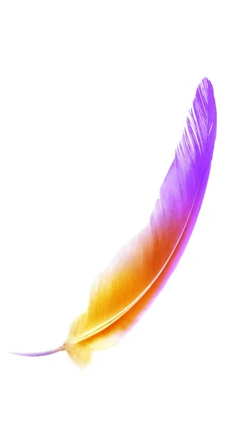 Beautiful color feather isolated on white background — Stock Photo, Image