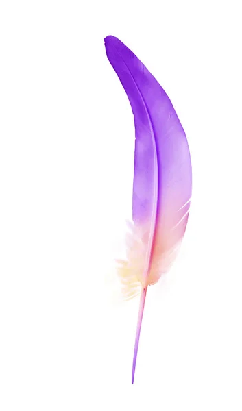 Beautiful color feather isolated on white background — Stock Photo, Image