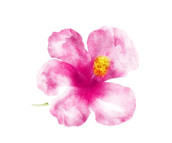 Watercolor flower , isolated on white background — Stock Photo, Image