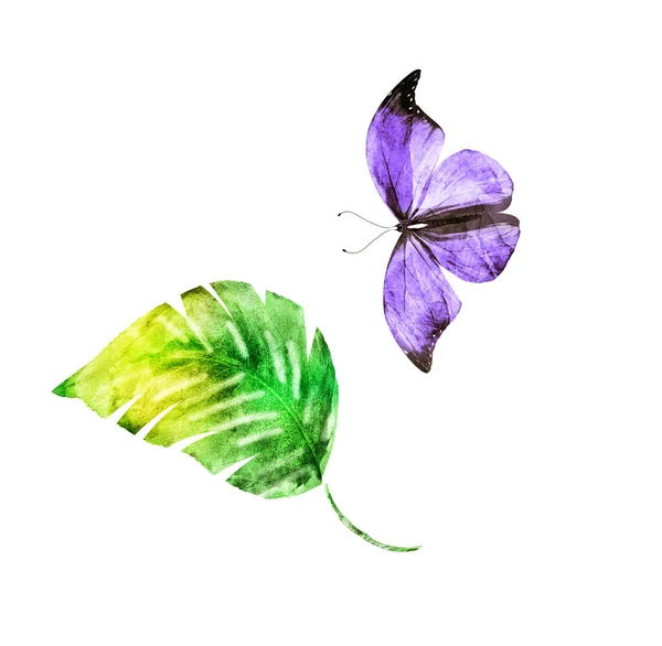 Aquarellblatt Mit Schmetterling Auf Weißem Hintergrund — Stockfoto