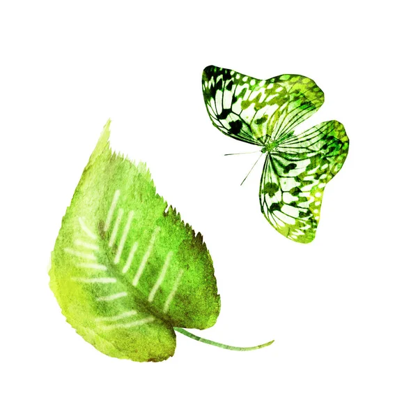 Liść Akwareli Motylem Białym Tle — Zdjęcie stockowe