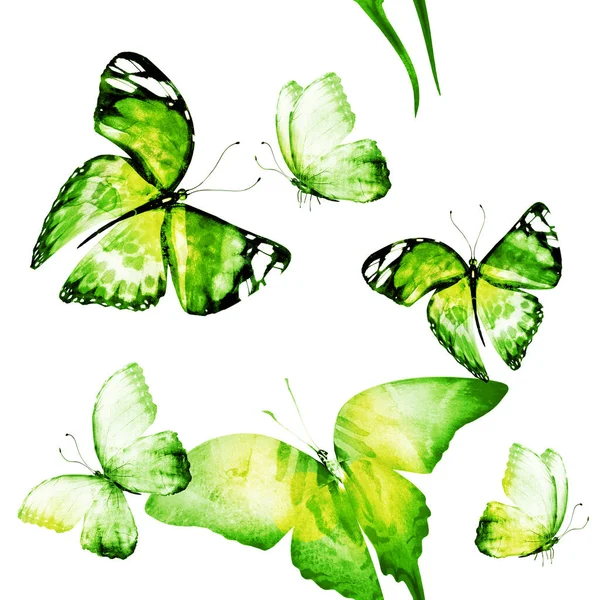 Akwarela Bezszwowy Wzór Motyli — Zdjęcie stockowe