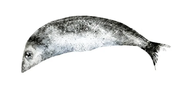 Watercolor fish on white background — Stock Image Watercolor Fish White Background Royalty Free Stock Images