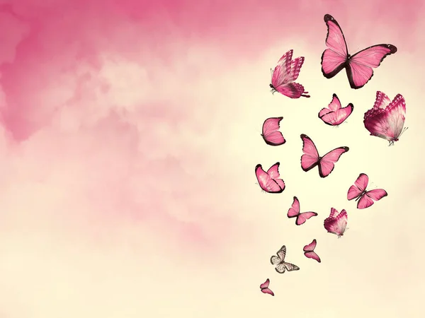 Color Sky Clouds Butterflies Background — Stock Photo, Image