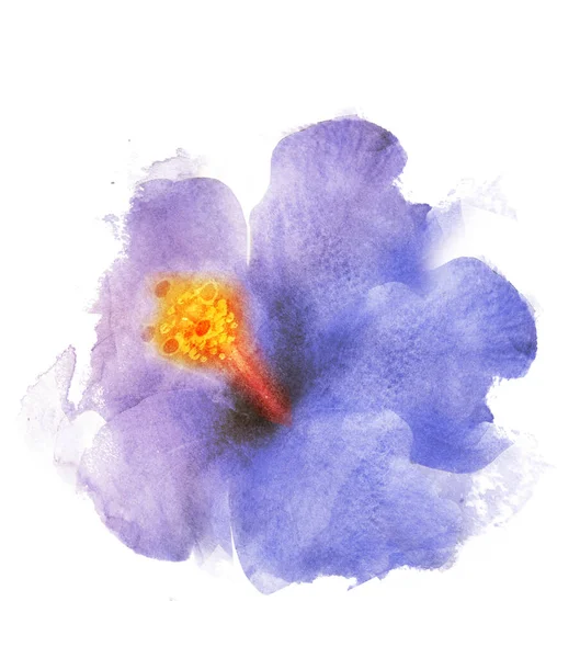 Aquarell Blume Isoliert Auf Weißem Hintergrund — Stockfoto