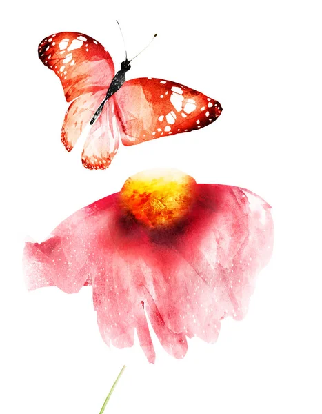 나비와 색깔의 배경에 떨어져 — 스톡 사진