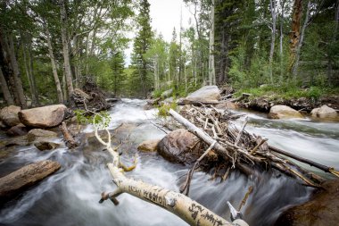 Rocky Dağları'nda Alberta Falls