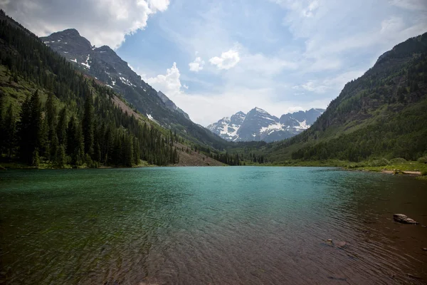 Kastanjebruine Bells in Aspen — Stockfoto